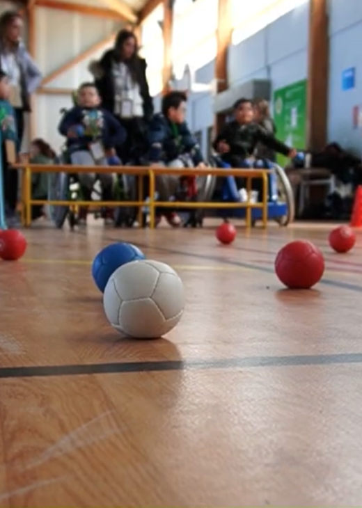 Muscu'Kids : une journée pour découvrir le sport adapté en famille